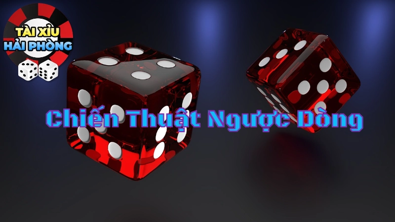 Chiến Thuật Ngược Dòng Khi Đặt Cược Tài Xỉu Hải Phòng