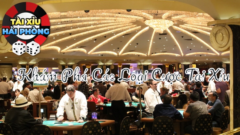 Khám Phá Các Loại Cược Tài Xỉu Mới Nhất Tại Hải Phòng