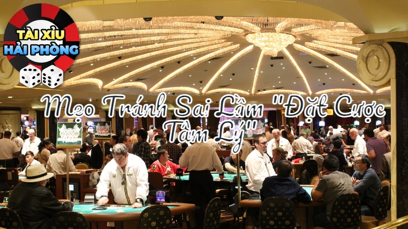 Mẹo Tránh Sai Lầm “Đặt Cược Tâm Lý” Khi Chơi Tài Xỉu