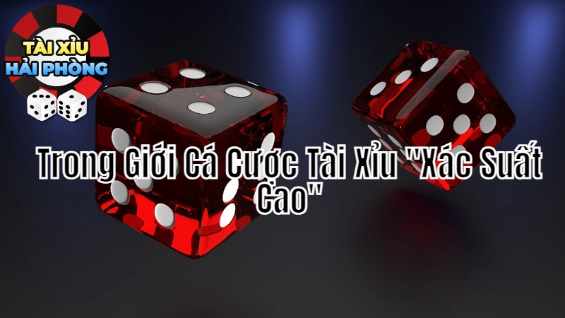 Trong Giới Cá Cược Tài Xỉu “Xác Suất Cao”: Cách Đặt Cược Để Đạt Lợi Nhuận 2024